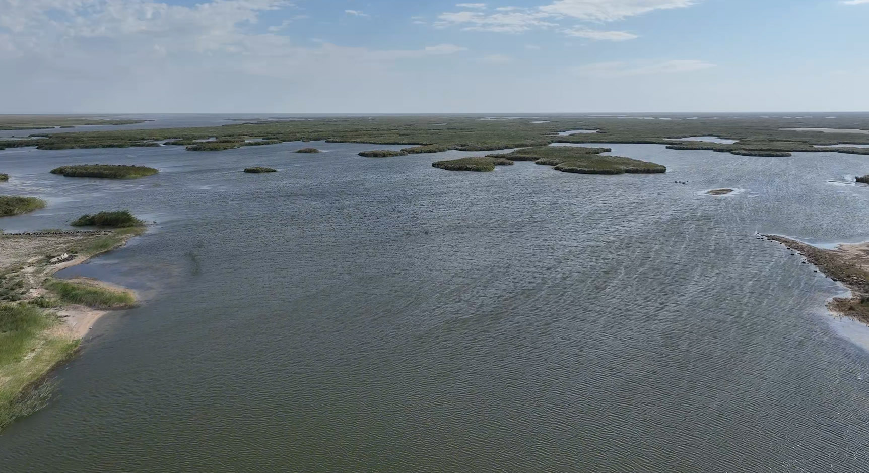 Арал теңізі